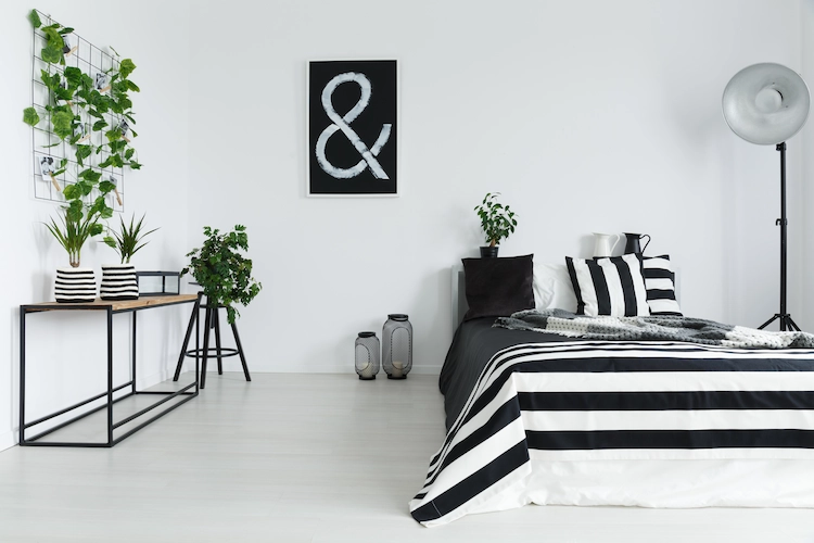minimalist black white bedroom suitable green plants