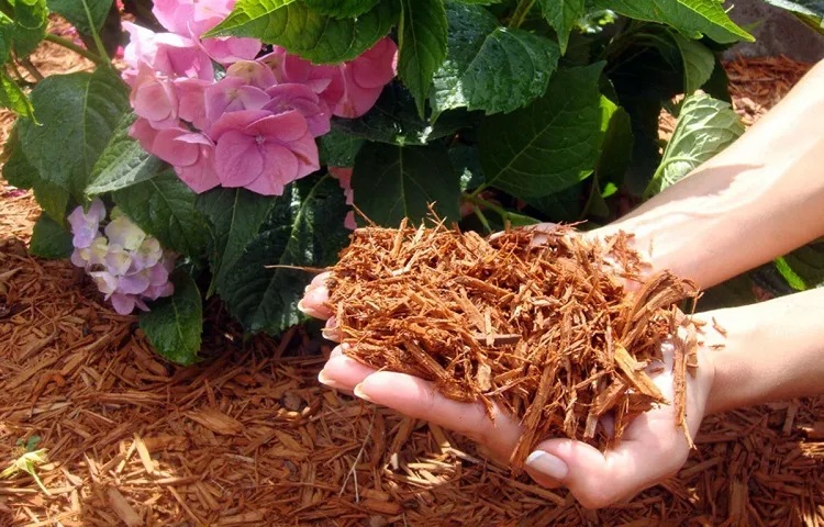 mulch how to cover plants for frost