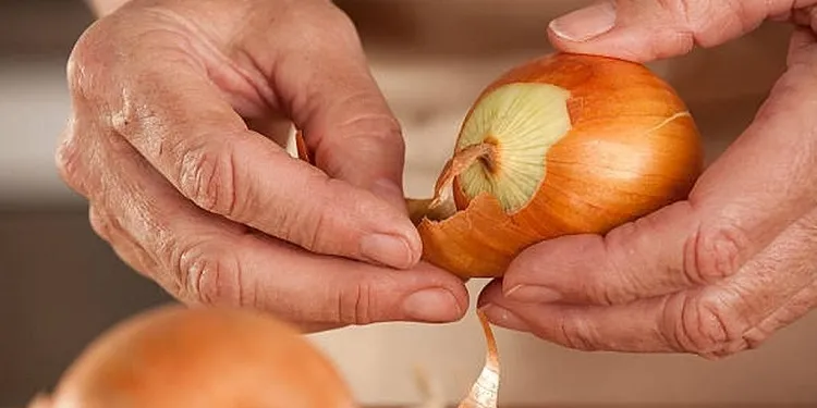 onion peel benefits against aging