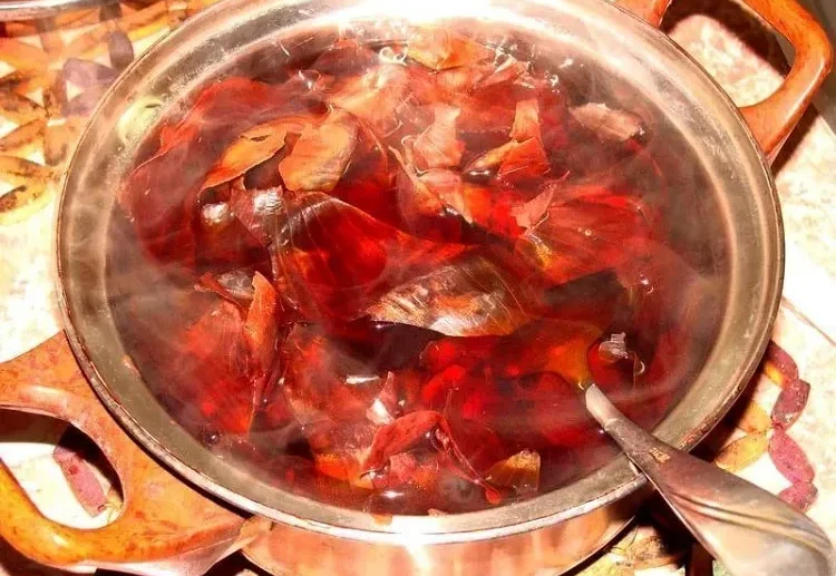 onion peel tea benefits for heart health