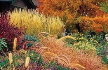 orange garden in autumn which trees shrubs flowers selection in warm colors