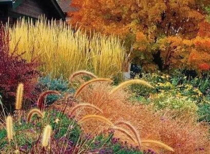 orange garden in autumn which trees shrubs flowers selection in warm colors