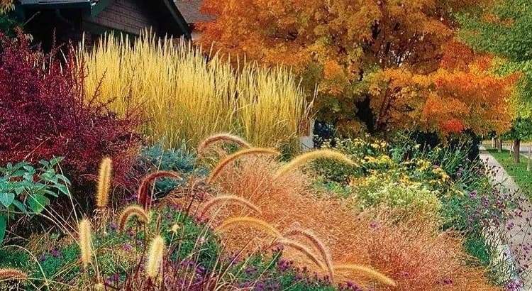 orange garden in autumn which trees shrubs flowers selection in warm colors
