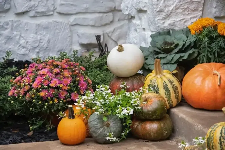 outdoor fall decorating ideas with mums flowers and pumpkins