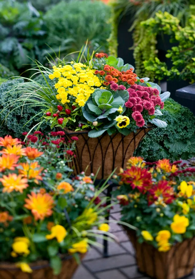 outdoor fall decoration flower arrangements in pots