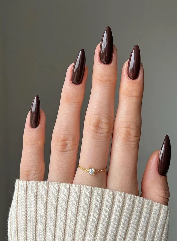 plain stylish dark chocolate nails