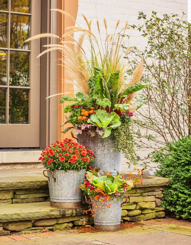 planting chrysanthemums in a pot with vegetables pampas grass outdor fall decorating ideas