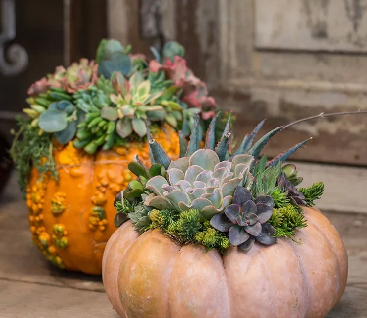 pumpkin floral decorations