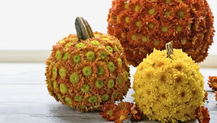 pumpkin floral designs