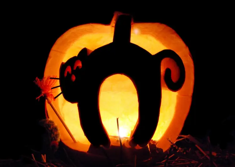 simple decoration idea halloween pumpkin with cat hump