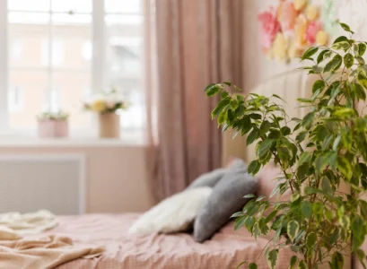 small tree plant next to bed calming bedroom atmosphere