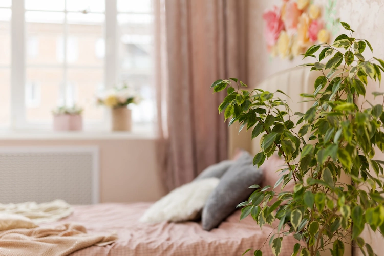 small tree plant next to bed calming bedroom atmosphere