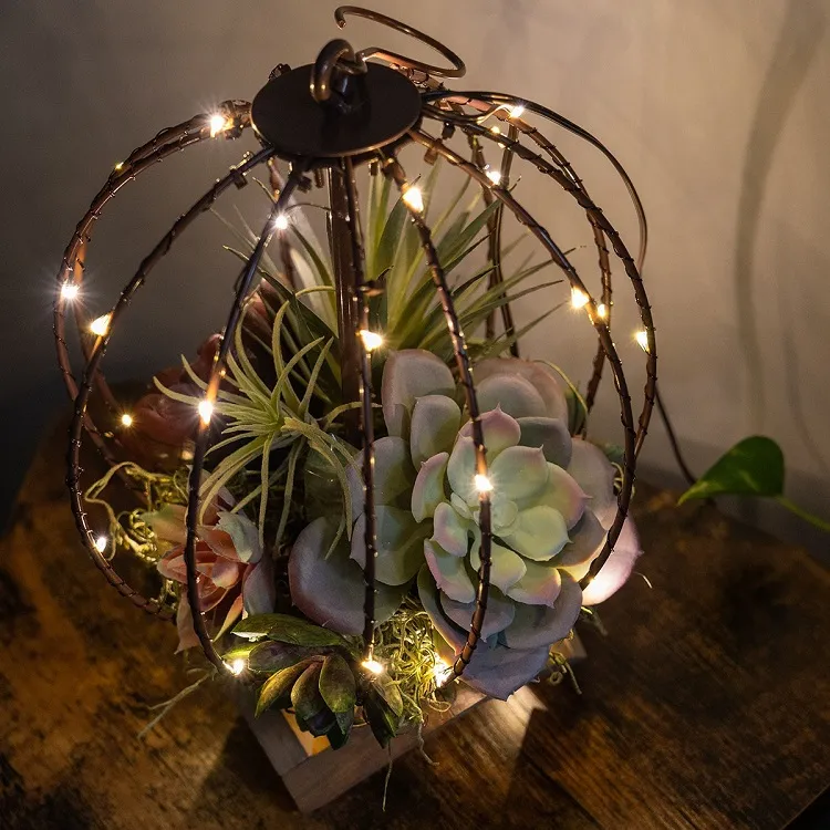 succulent fairy lights cute fall decorating ideas