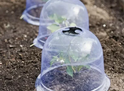 what can i use as a frost blanket