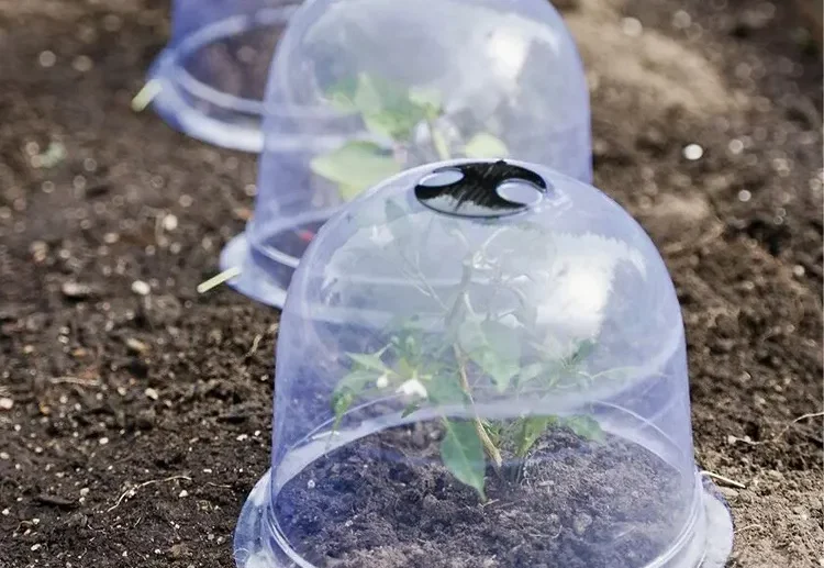 what can i use as a frost blanket