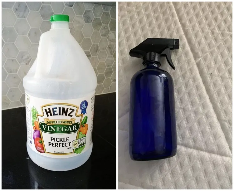 what smell scares bed bugs white vinegar baking soda