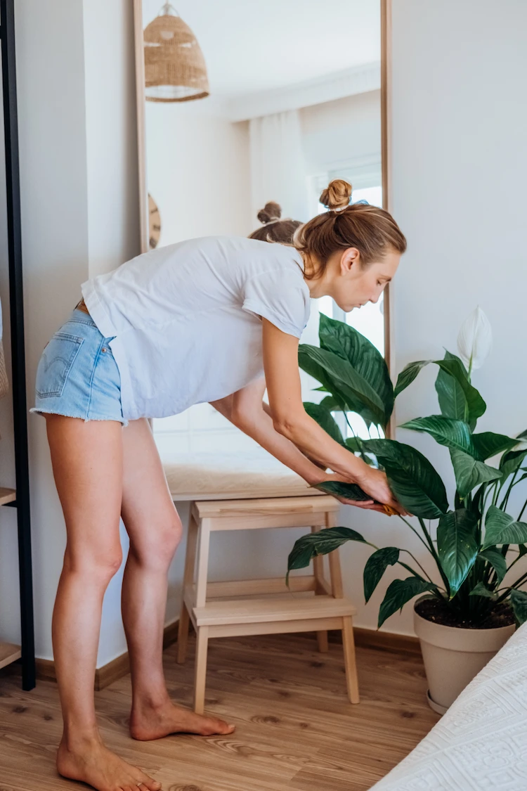 young woman caring for peace lily plant feng shui bedroom