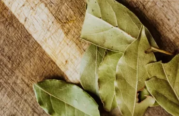 bay leaves in the fridge