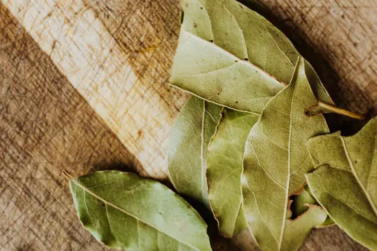 bay leaves in the fridge