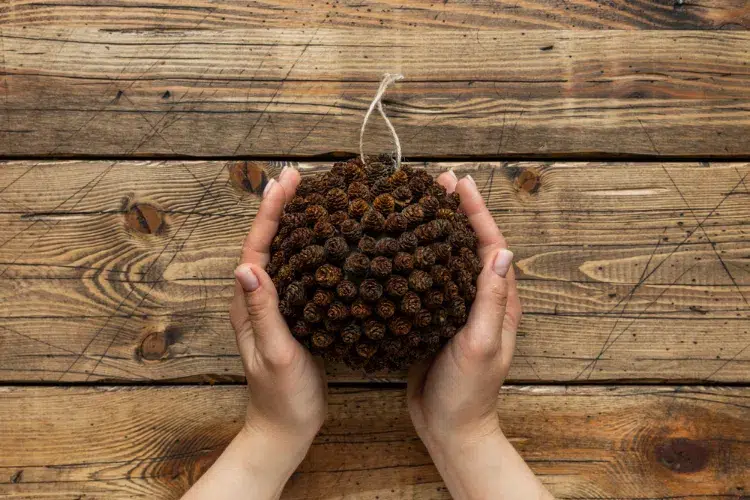 diy christmas baubles with pine cones easy decoration to do it yourself