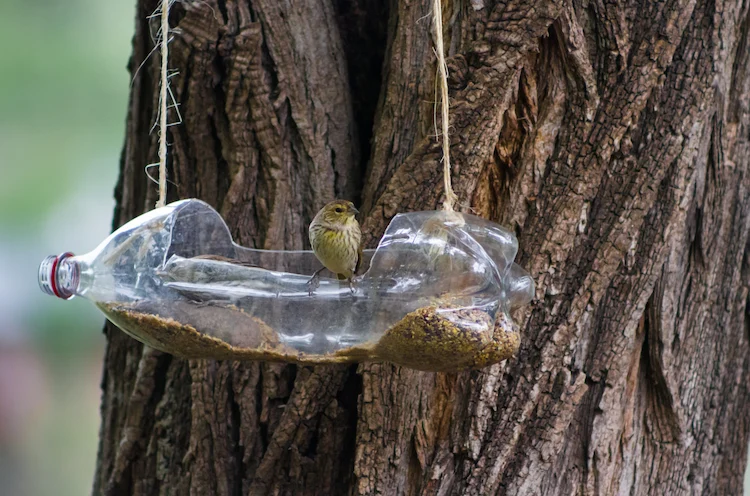 diy feeding station for wild birds made of plastic bottle