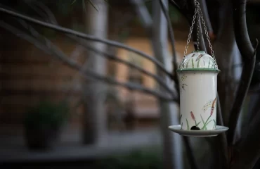 how to make a bird feeder from old teapots or thermos bottles using upcycling ideas