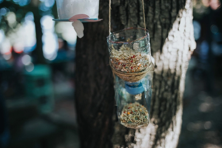 reuse environmentally friendly and sustainable plastic bottles for bird food in the garden