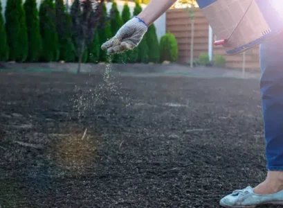 can you plant grass in november