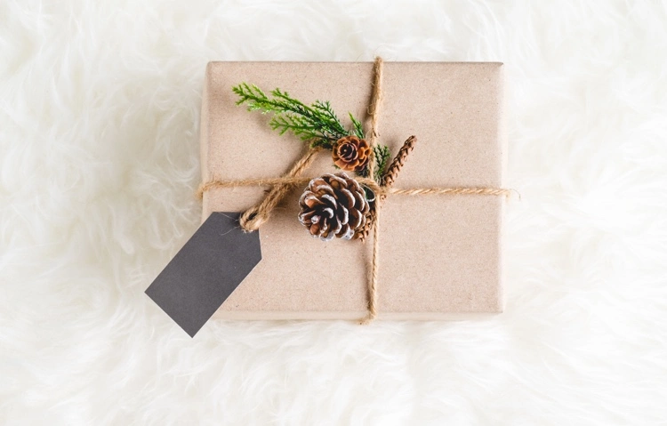gift wrapping idea with pine cones for christmas