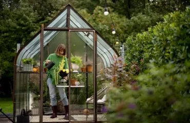 how to clean the windows of a greenhouse organize cleaning glass surface move empty