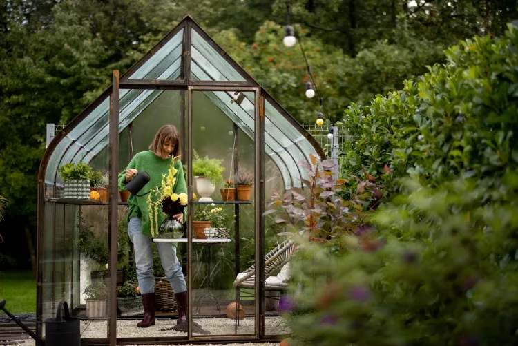 how to clean the windows of a greenhouse organize cleaning glass surface move empty