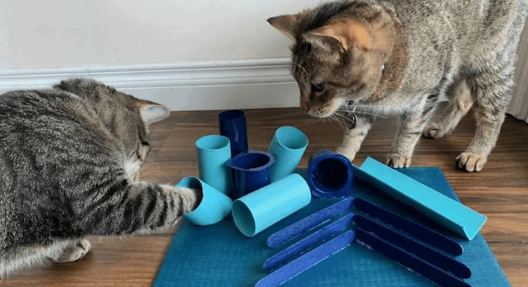 how to make diy cat puzzle