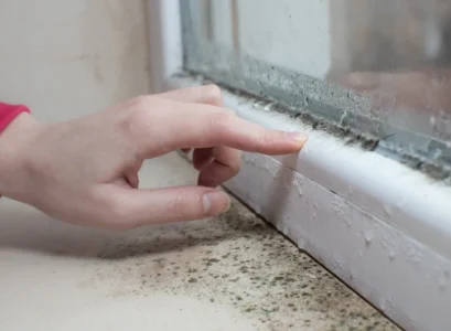 how to remove mold from window frame