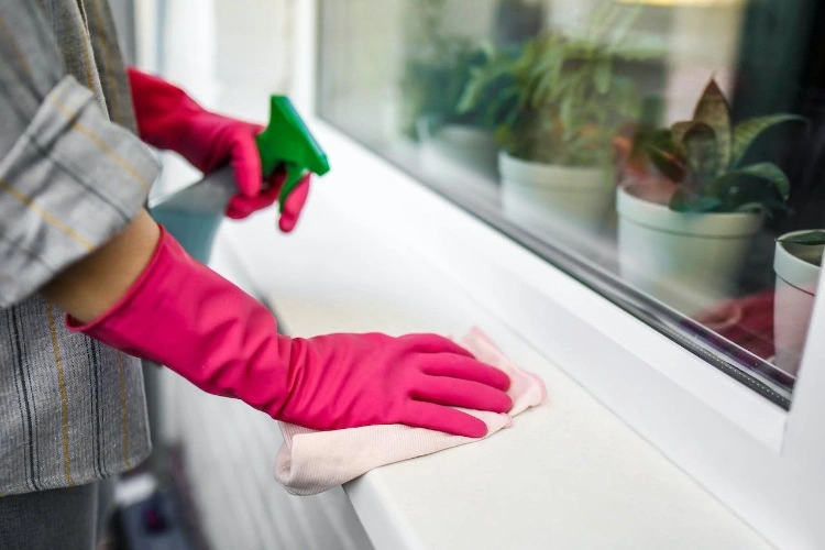 how to remove mold on window frame with home remedies