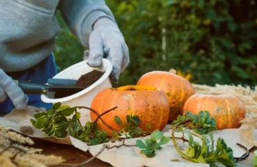 making a flower pot from halloween pumpkin