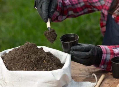 natural nitrogen fertilizer what are the deficiency symptoms