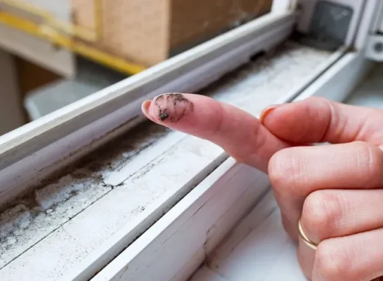 protecting wood from black mold
