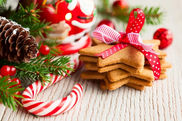 simple christmas cookie decorating ideas