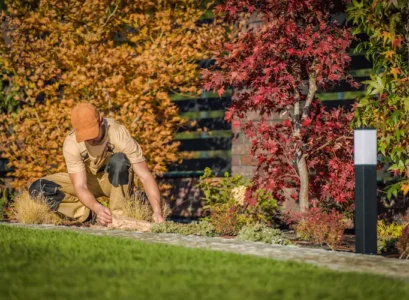 what garden tasks should be done in november