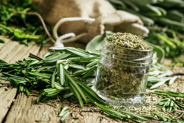what are the benefits of rosemary water for hair