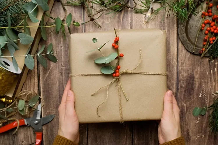 brown kraft paper twine dried berries minimalist eco christmas gift packaging