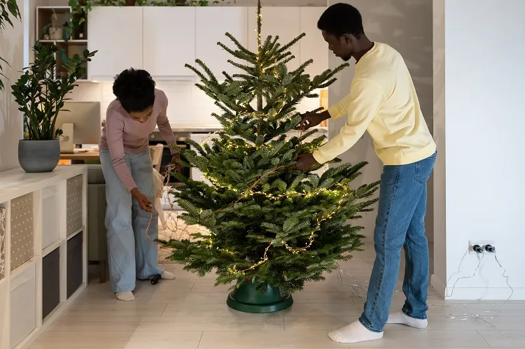 decorating your real christmas tree