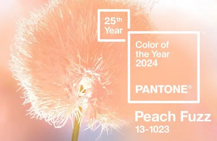 pantone color 2024