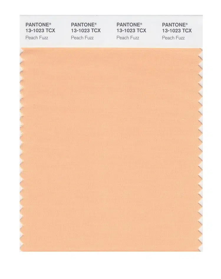 peach fuzz pantone color of the year 2024