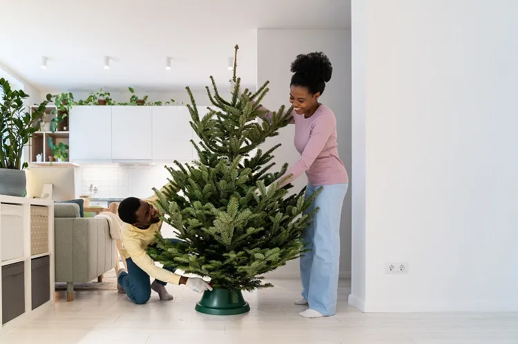 setting up the christmas tree inside