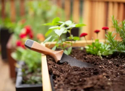 choose the right spot for your outdoor vegetable garden