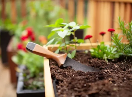 choose the right spot for your outdoor vegetable garden