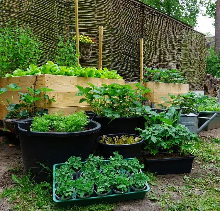 combine different levels in your patio vegetable garden