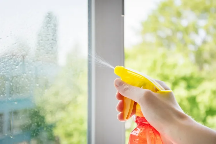 diy cleaning spray for windows and mirrors
