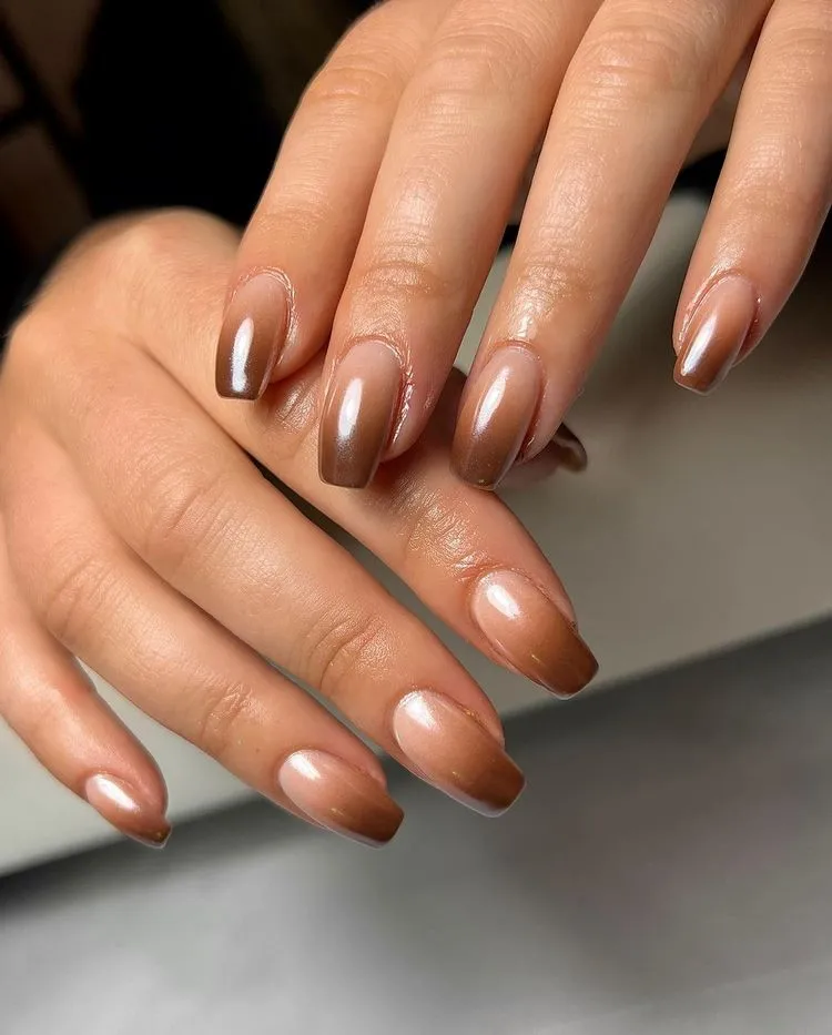 elegant brown ombre nail art